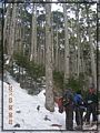 2011-03-08 08-02-49-黑森林踏雪行.JPG